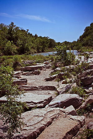 Glen Rose TX (Dinosaur Valley)